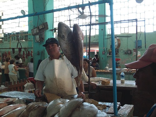 外籍人士和当地人都喜欢光顾普罗格里索的鱼贩