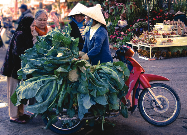越南大叻，当地妇女在卖花椰菜