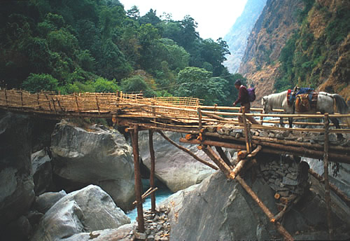 尼泊尔的竹桥