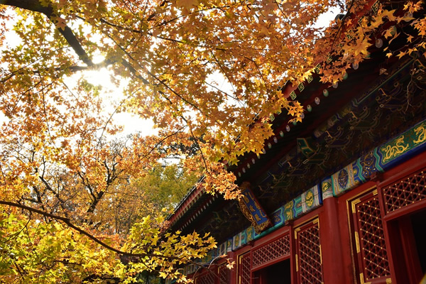 中国北京的秋天