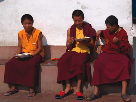 年轻的佛教僧侣正在享用午餐