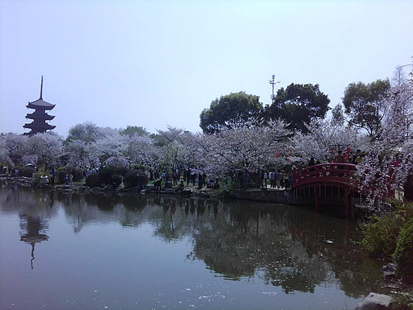武汉，中国樱花公园