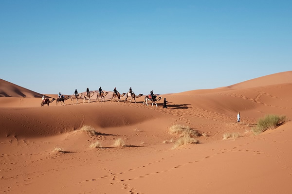 在埃及的沙丘中旅行