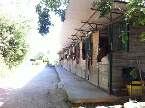 翁布里亚葡萄园的马厩