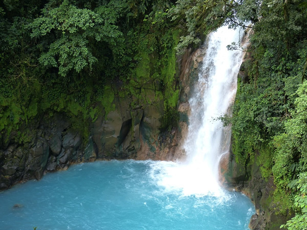 哥斯达黎加瀑布在雨林中