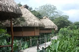 哥斯达黎加生态小屋工作